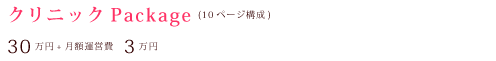 クリニックパッケージ(10ページ構成)　30万円＋3万円
